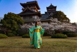 Japan_Sakura_2025 (71/79)